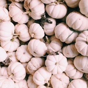 Meet your Posher, Sonia